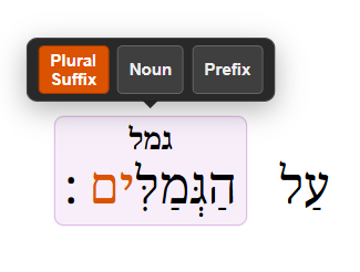 A word toolbar with Plural Suffix, Noun and Prefix buttons. Plural Suffix is selected, and in the word הַגְּמַלִּים only the plural suffix ים is colored — the rest of the word, and the word beside it, stay plain.